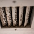 Elimination of Mold and Mildew Growth: How to Improve Indoor Air Quality and Maintain Your HVAC System